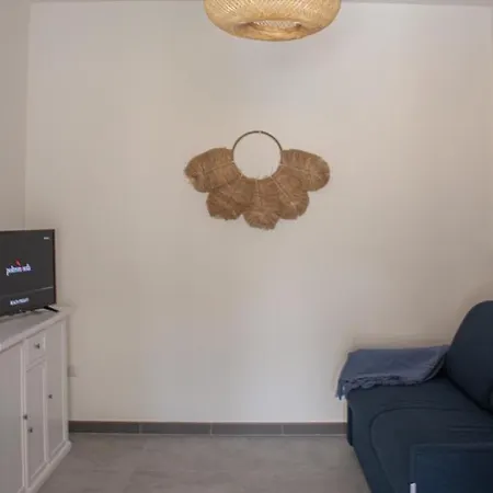 Teia * Вулкано