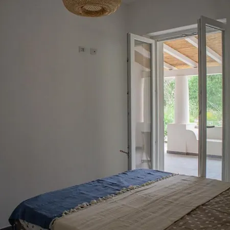 Teia * Вулкано