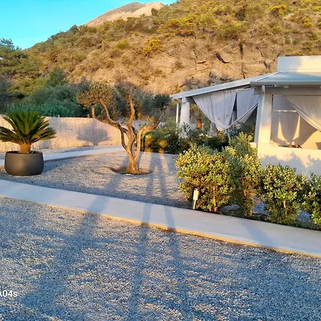 Teia * Вулкано